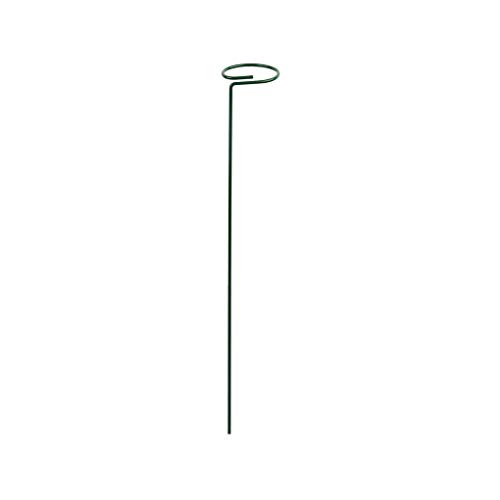 Pflanzenstecker Pflanzkäfig Ringe Indoor Outdoor Balkon Bonsai für Gartenarbeit Obst Gemüse Wachstum Kletterpfähle von ULIJTH