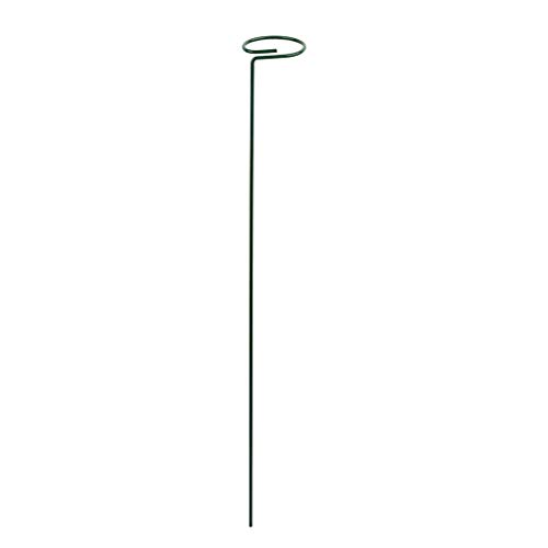 Pflanzenstecker Pflanzkäfig Ringe Indoor Outdoor Balkon Bonsai für Gartenarbeit Obst Gemüse Wachstum Kletterpfähle Pflanzenstecker Pflanzkäfig Ringe Indoor Outdoor Balkon Bonsai für Gartenarbeit Obst Gemüse Wachstum Kletterpfähle von ULIJTH