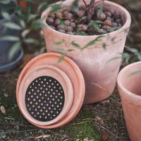 Ulisem10 Stück Blumentopf-Lochgittermatte, Blumentopf-Lochnetz, Gartenarbeit, Blumentopf, Blumentopfmatte, Blumentopf-Netzmatte, Bonsai-Gartennetz, Ulisem10 Stück Blumentopf-Lochgittermatte, Blumentopf-Lochnetz, Gartenarbeit, Blumentopf, Blumentopfmatte, Blumentopf-Netzmatte, Bonsai-Gartennetz, von ULISEM