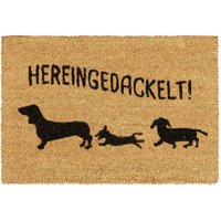 UlisemKokosnuss Fußmatte "Hereingedackelt", Hundemotiv, Fußmatte für drinnen und draußen, 40x60 cm Fußmatte, Natur UlisemKokosnuss Fußmatte "Hereingedackelt", Hundemotiv, Fußmatte für drinnen und draußen, 40x60 cm Fußmatte, Natur von ULISEM