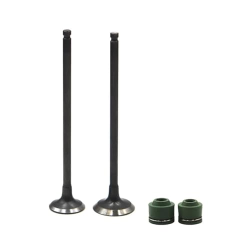 Universal 1 Paar Motorrad Motorteile Ansaug- und Ventilschäfte für mit FZR250R 1989-1994 F 250 Z Universal 1 Paar Motorrad Motorteile Ansaug- und Ventilschäfte für mit FZR250R 1989-1994 F 250 Z von ULPTOBKUD