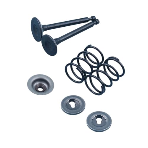 Universal Ansaug- und Ventilfederhalterungen und Dichtungen, 1 Ventilfeder-Set für GX35-Motoren von ULPTOBKUD