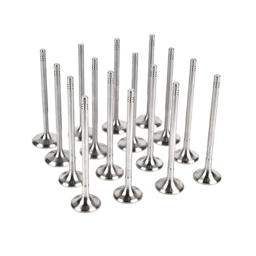 Universal-Motor, 8 x Ansaugventile + 8 x Ventile Universal-Motor, 8 x Ansaugventile + 8 x Ventile von ULPTOBKUD