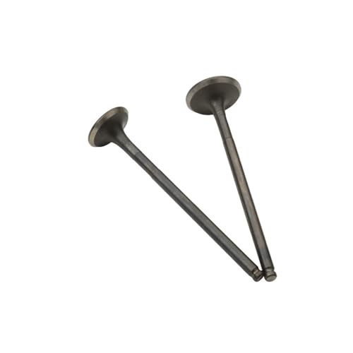 Universal Motorcycle 2PC Intake And Valves For With FU 150 150cc 12911-16E00-000 1291216E00000 Four-Stroke Universal Motorcycle 2PC Intake And Valves For With FU 150 150cc 12911-16E00-000 1291216E00000 Four-Stroke von ULPTOBKUD