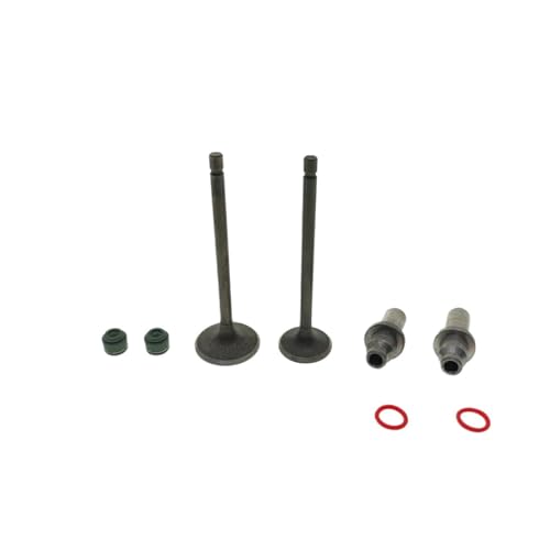 Universal Motorcycle Valve Intake And Stem For With FT150 FT 150cc 150CC(Full Set) von ULPTOBKUD