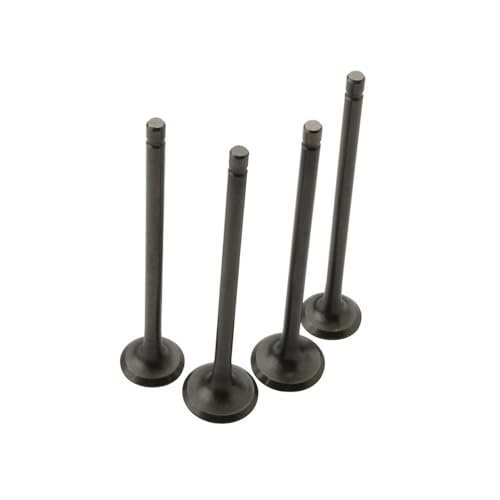 Universal Motorrad 4PC Einlass-Und Auslassventile for Mit GT200 GTS250 GTV250 GT60 GTS300 GTV300 von ULPTOBKUD