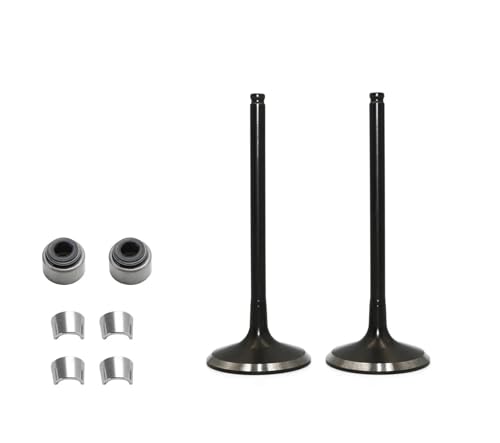 Universal Motorrad Motor Einlass- Und Auslassventil Öl Blockieren Platte for Mit KTT XR150L Universal Motorrad Motor Einlass- Und Auslassventil Öl Blockieren Platte for Mit KTT XR150L von ULPTOBKUD