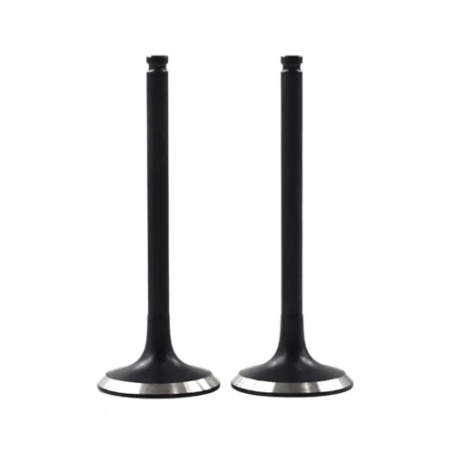 Universal Motorrad Motorzubehör Ansaug- und Ventilschäfte für WR450F YZ450F 2003-2009 YFZ450 (2 Auspuff) von ULPTOBKUD