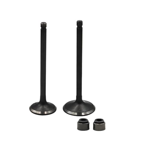 Universal Motorrad Motorzubehör Ansaug- und Ventilschäfte für YFB250 2WD YFM200 YFM250 YFM225 Universal Motorrad Motorzubehör Ansaug- und Ventilschäfte für YFB250 2WD YFM200 YFM250 YFM225 von ULPTOBKUD