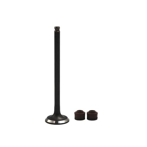 Universal Motorrad Motorzubehör Ansaugventil Vorbau für mit DIO54 DIO55 DIO56 DIO 54 55 56 Universal Motorrad Motorzubehör Ansaugventil Vorbau für mit DIO54 DIO55 DIO56 DIO 54 55 56 von ULPTOBKUD