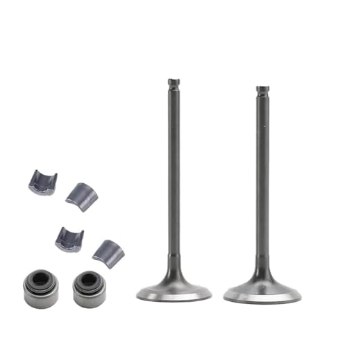 Universal Motorrad Ventil Ansaugventil Kit Öldichtung für mit HX 250 ATV Motorradmotor 2V von ULPTOBKUD