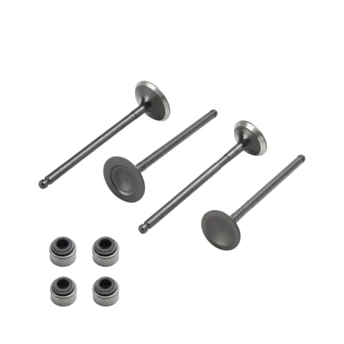 Universal Motorrad Ventil Ansaugventil Vorbau Kit Öldichtung für CRF250 CRF250R CRF250L CRF250X Universal Motorrad Ventil Ansaugventil Vorbau Kit Öldichtung für CRF250 CRF250R CRF250L CRF250X von ULPTOBKUD