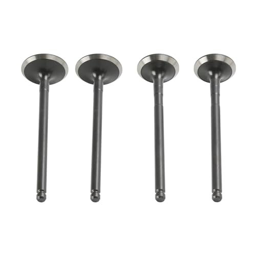 Universal Motorrad Zubehör Motorventil Ansaugventil Kit Öldichtung für mit 157FMJ-3 TNT150i TNT 150 150i BJ150-29A EFI Universal Motorrad Zubehör Motorventil Ansaugventil Kit Öldichtung für mit 157FMJ-3 TNT150i TNT 150 150i BJ150-29A EFI von ULPTOBKUD