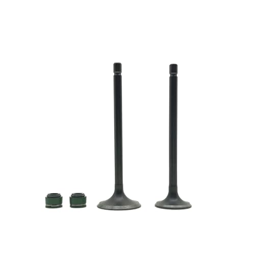 Universal Ventil Einlass Und Auslass Stem Guide Öl Dichtung for Mit CG125 CG 125 125cc(Guide 1 Pair) von ULPTOBKUD