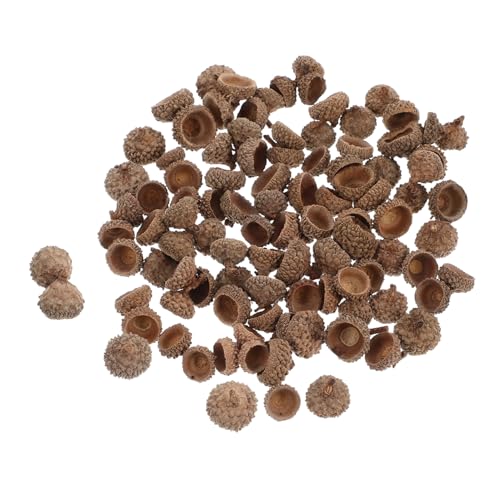 ULTECHNOVO 100 Stück Natürliche Eichelnschalen Deko Set für Herbst Weihnachtsbaum Basteln Umweltfreundliche Trockenornamente zum Aufhängen Party Hochzeitsdeko Vase Füllmaterial aus ULTECHNOVO 100 Stück Natürliche Eichelnschalen Deko Set für Herbst Weihnachtsbaum Basteln Umweltfreundliche Trockenornamente zum Aufhängen Party Hochzeitsdeko Vase Füllmaterial aus von ULTECHNOVO