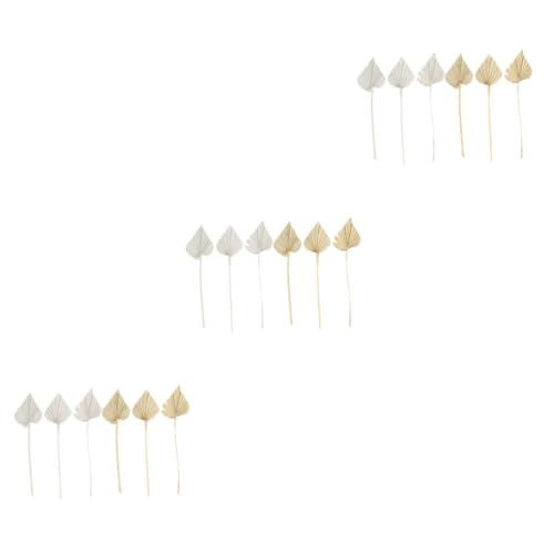 ULTECHNOVO 3 Sätze Teiliges Getrocknete Palmblätter Natürliche Dekoration Für DIY Blumenarrangements Und Festtagsgestaltung Für Zuhause Hochzeiten Und Partys 6 Stücke * 3 von ULTECHNOVO