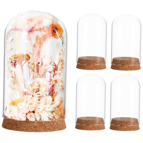 ULTECHNOVO 5 Stück Teiliges Transparentes Glasglocken mit Korkboden Praktische Glasglocke zum Dekorativen Präsentieren von Kunstblumen Figuren und Tischdeko für Zuhause und von ULTECHNOVO