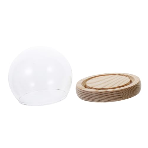 ULTECHNOVO LED Beleuchtete Glasglocke mit Natürlichem Holzsockel Eleganter Glaskuppel Display Dome für Ewige Blumen und Dekoration Schreibtisch oder Regal Durchmesser von ULTECHNOVO