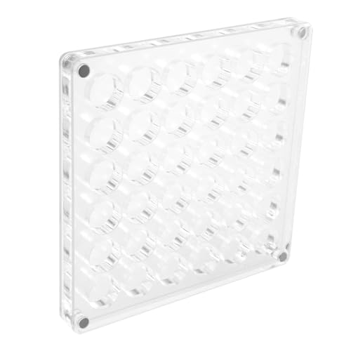 ULTECHNOVO Muschel-aufbewahrungsbox Aus Acryl Mit Runden Gittern Mini-Muschel-displaybox Für Sammlerstücke Und Kleine Schätze Kompakt Und Transparent von ULTECHNOVO