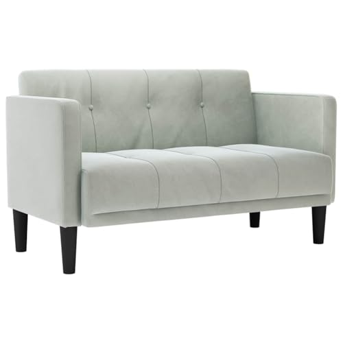 ULUYYUC Wohnzimmer Couch Couch Klein Sessel Wohnzimmer Reading Chair - Zweisitzer-Sofa Hellgrau 111 cm Samt für Balkon Küche Esszimmer Wohnzimmer von ULUYYUC