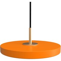 UMAGE - Asteria Micro V2 Pendelleuchte UMAGE - Asteria Micro V2 Pendelleuchte von UMAGE
