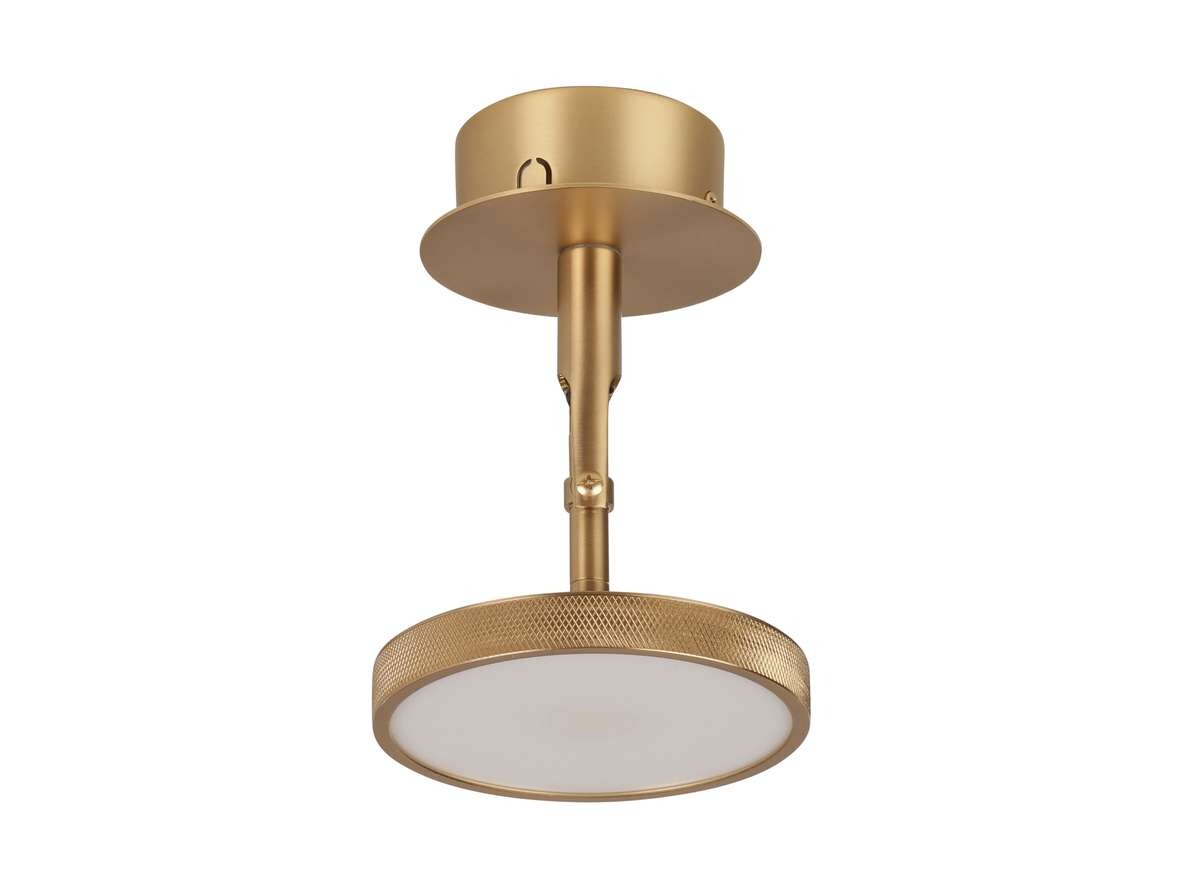 UMAGE - Asteria Spot Deckenleuchte Plated Brass Umage von UMAGE