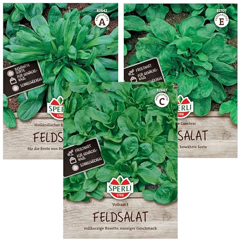 Feldsalat Samen Winterhart Set | 3 Sorten | Extra Frosthart | Wintergemüse Samen | Schnellwachsend | Ertragreich | Feldsalat Saatgut | Wintersalat Samen Winterhart von UNEECC