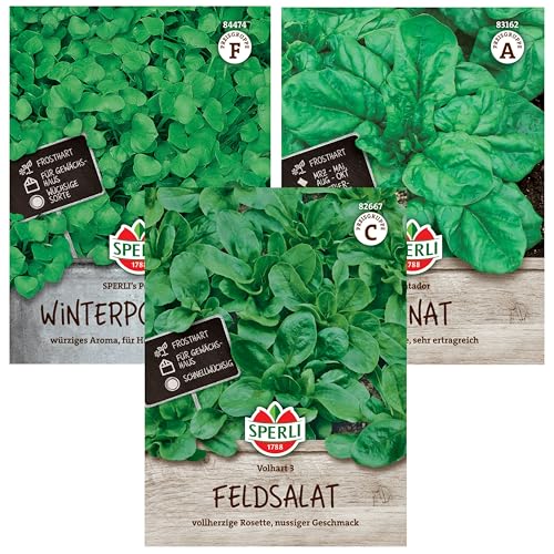 Wintergemüse Samen Set | 3 Bewährte Sorten | Frosthart | Feldsalat Samen Winterhart | Schnellwachsend | Spinat Samen | Ertragreich | Winterportulak Samen | Wintersalat Samen Wintergemüse Samen Set | 3 Bewährte Sorten | Frosthart | Feldsalat Samen Winterhart | Schnellwachsend | Spinat Samen | Ertragreich | Winterportulak Samen | Wintersalat Samen von UNEECC