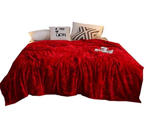 Kuscheldecke XL XXL Flauschige Wohndecke - Nordisch Stil Decke Warme Weiche Microfaser Fleecedecke Kinder/Erwachsener Kuscheldecke Tagesdecke Sofa Decke (Rote Rose, 180 x 200 cm) von Stillshine