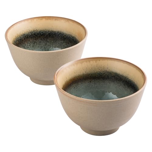 UNICASA Japanische Ramen Schüssel Set, 2er Set Suppenschalen Porzellan, Ramen Bowl Set für Pasta Obst Nudel Salat, Mit Hellblau von UNICASA