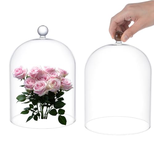 UNICRAFTALE Klarem Glas Glocke 20x15cm Glasglocke Deko Glaskuppel Cloche Sammlerstücke Kuppel Vitrine Dekorative Glocke Dekorative Glashaube Für Lichterketten Tischdekoration Medaillen Fotos von UNICRAFTALE