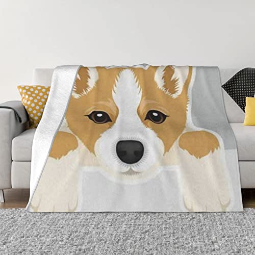 Flanelldecke mit niedlichem Cartoon-Welsh Corgi-Motiv, leicht, gemütlich, ultraweich, warm, Reisedecke, Ganzjahresdecke für Bett, Sofa, Büro, Wohnzimmer, Camping, Geschenke, 203,4 x 152,4 cm von UNIOND