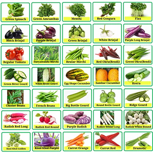 35 Varieties of Home Gardening Seeds for Leafy Vegetables - Easy to Grow Indian Vegetable Seeds Combo (Approx 1500+). von UNIQUS