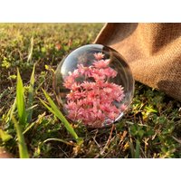 Epoxidharz Kunst Mini Gänseblümchen Kleine Sterne Blumen Schleierkraut Hochzeitsgeschenke Für Mama Muttertagsgeschenke von UNIVERScraft