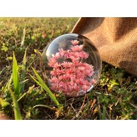 Epoxidharz Kunst Mini Daisy Kleine Sterne Blumen Schleierkraut Hochzeitsgeschenke Für Mama Geschenke Zum Muttertag von UNIVERScraft