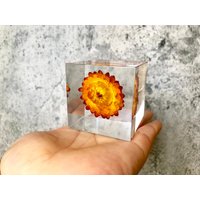 Resin Kunst Epoxidharz Dekor Stroh Chrysantheme Strohblume Handmade Cube Briefbeschwerer Weihnachtsgeschenke Lover Geschenke von UNIVERScraft