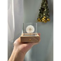 Löwenzahn Samen Harz Nachtlicht Personalisiertes Blumen Geburtstagsgeschenk von UNIVERScraft