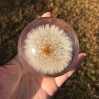 Löwenzahn Samen in Harz Geschenke Für Sie Ihn College-Abschluss Weihnachtsgeschenk Blumenhochzeitsgeschenke von UNIVERScraft