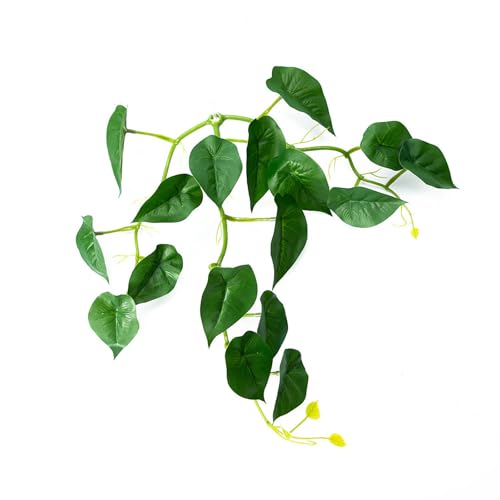 UNTERING Fischblatt-Pad, Blatt-Hängematte, Versteck, Bett, sichere Umgebung, Fischlaichbeet, Aquarien, Landschaftszubehör, Pflanzendekoration UNTERING Fischblatt-Pad, Blatt-Hängematte, Versteck, Bett, sichere Umgebung, Fischlaichbeet, Aquarien, Landschaftszubehör, Pflanzendekoration von UNTERING