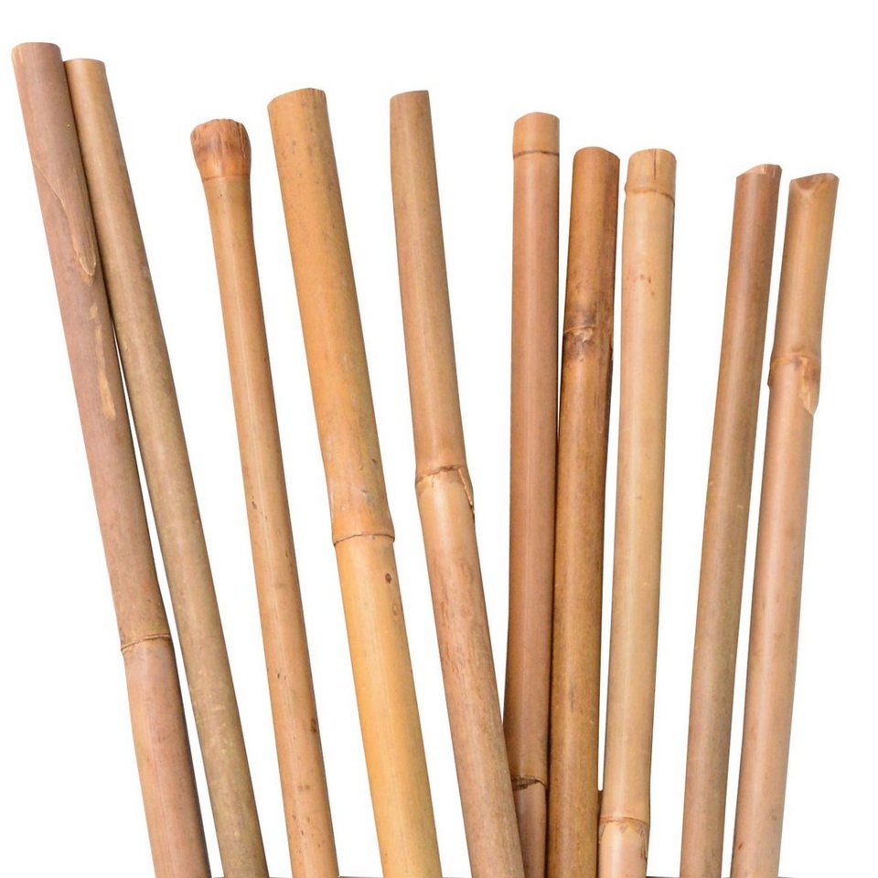 UNUS GARDEN Spalier Bambusstäbe 120 cm, 30 St. von UNUS GARDEN
