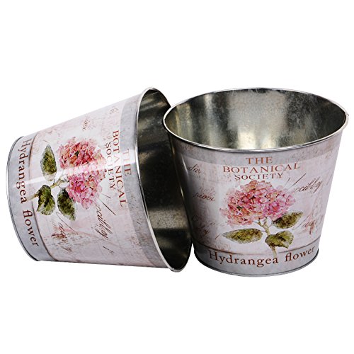 UNUS 2er Set Blumentopf Pflanzentopf Zink Hortensie Übertopf 21cm rosa UNUS 2er Set Blumentopf Pflanzentopf Zink Hortensie Übertopf 21cm rosa von UNUS