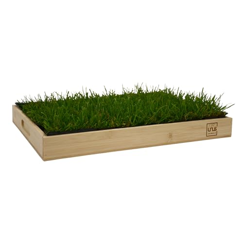 Katzengras mit Tablett 40x30cm Bambus von UNUS