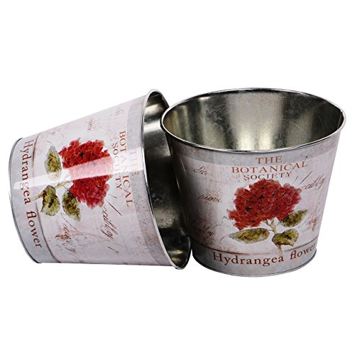 UNUS Nature by Kolibri Blumentopf Set Pflanzentopf Zink Hortensie Übertopf 2 Stück Rot 21cm von UNUS