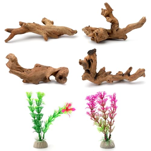 6 teilig kleinen natürlichen Treibholz und simulierte Wasserpflanzen für Aquarien, natürliches Treibholz und Zweige, Aquarium-Treibholz, Dekoration von Ästen für Reptilienbecken,Terrarium(10-15cm) 6 teilig kleinen natürlichen Treibholz und simulierte Wasserpflanzen für Aquarien, natürliches Treibholz und Zweige, Aquarium-Treibholz, Dekoration von Ästen für Reptilienbecken,Terrarium(10-15cm) von UOCAI