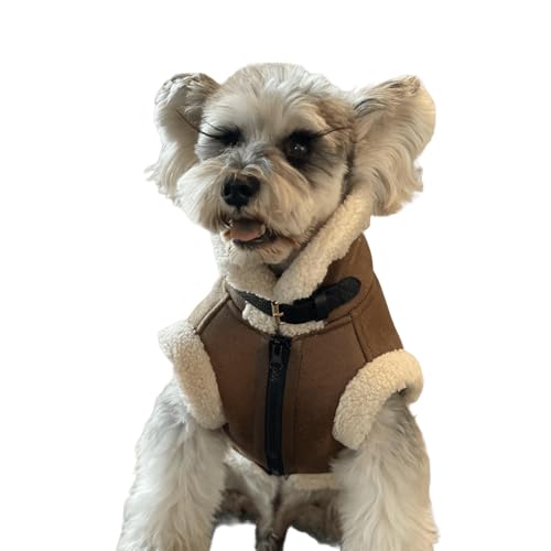 UOSIA Hund Lederjacke Dicker Samt Gefüttert Ärmellose Weste Jacke Niedliche Schildkröte Hals Hund Motorrad Kleidung Mit Reißverschluss Wintermännel Für Kleine Hunde Welpen UOSIA Hund Lederjacke Dicker Samt Gefüttert Ärmellose Weste Jacke Niedliche Schildkröte Hals Hund Motorrad Kleidung Mit Reißverschluss Wintermännel Für Kleine Hunde Welpen von UOSIA