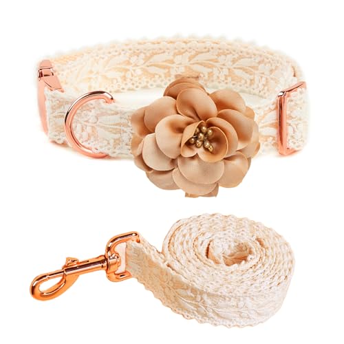 UOSIA Hundehalsband und Leine im Blumen-Design Elegantes, verstellbares Hundehalsband in Beige mit Metallschnalle und Schnellverschluss Modisches Halsband für mittelgroße bis große Hunde von UOSIA