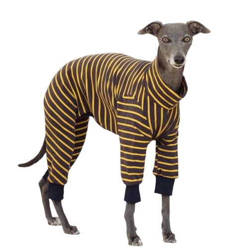 UOSIA Italienische Windhunde Streifenpullover Gelbe Whippets Rollkragenpullover Sweatshirt Greyhound Gemütlicher Thermopyjama Ganzkörper-Jumpsuit für kaltes Wetter UOSIA Italienische Windhunde Streifenpullover Gelbe Whippets Rollkragenpullover Sweatshirt Greyhound Gemütlicher Thermopyjama Ganzkörper-Jumpsuit für kaltes Wetter von UOSIA