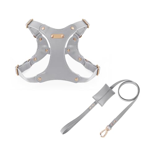 UOSIA Verstellbarer Weicher Lederhundgurt Und Leine Set Für Kleine Mittlere Hunde Bequemes Kein Ziehen Hundegurt Mit 2 Leine Clips Für Haustiertraining Gehen von UOSIA