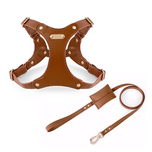 UOSIA Verstellbarer Weicher Lederhundgurt Und Leine Set Für Kleine Mittlere Hunde Bequemes Kein Ziehen Hundegurt Mit 2 Leine Clips Für Haustiertraining Gehen von UOSIA