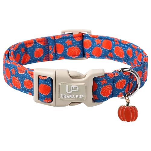 UP URARA PUP Halloween-Hundehalsband mit Kürbisanhänger, verstellbares Halloween-Hundehalsband für kleine, mittelgroße und große Hunde, weiche Baumwolle, Welpenhalsbänder mit UP URARA PUP Halloween-Hundehalsband mit Kürbisanhänger, verstellbares Halloween-Hundehalsband für kleine, mittelgroße und große Hunde, weiche Baumwolle, Welpenhalsbänder mit von UP URARA PUP